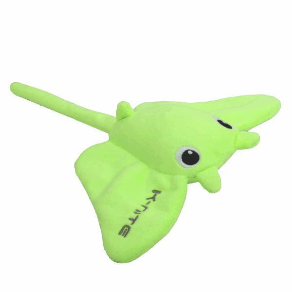 300111 AFP K-Nite - Glowing Eel