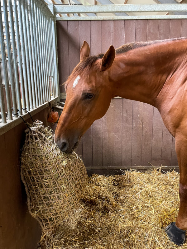 300150 Hay Slowfeeder net 2,5 kg (5 mm dik, maaswijdte 45 mm)