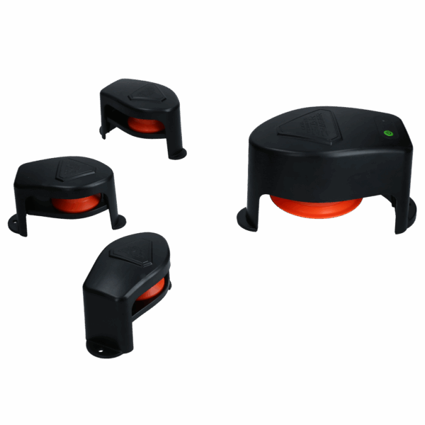 300154 Dog Comets Star Chaser