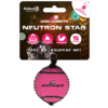 Dog comets Neutron Star Tennisbal met pieper S Roze 1st