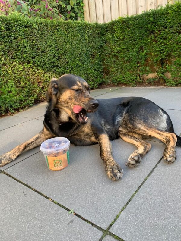 300167 Duo Dog Honden Snacks