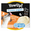 300213 YowUp Ice Cream Yogurt SALMON TARTAR 110g
