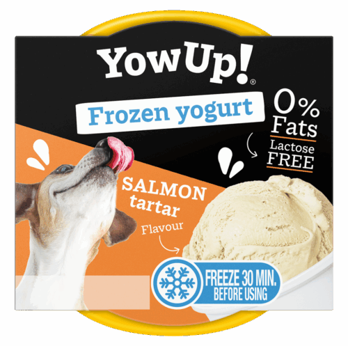YowUp Ice Cream Yogurt SALMON TARTAR 110g