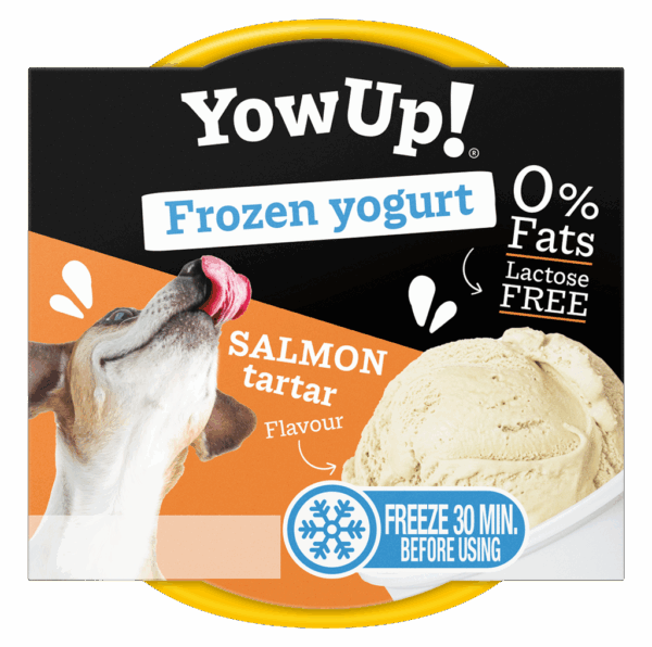 300213 YowUp Ice Cream Yogurt SALMON TARTAR 110g