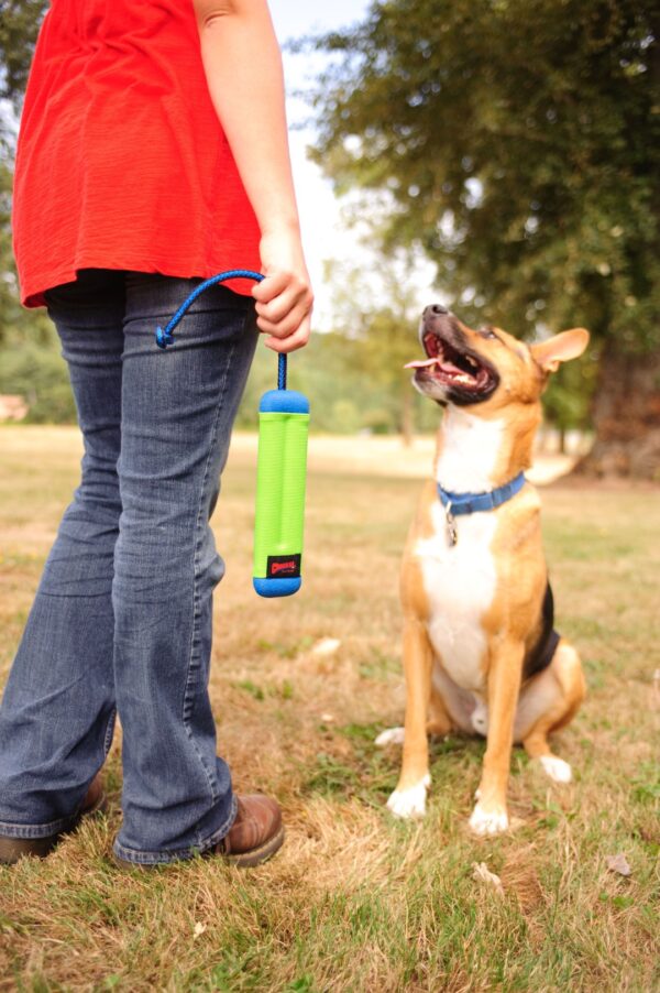 Chuckit Amphibious Bumper Small