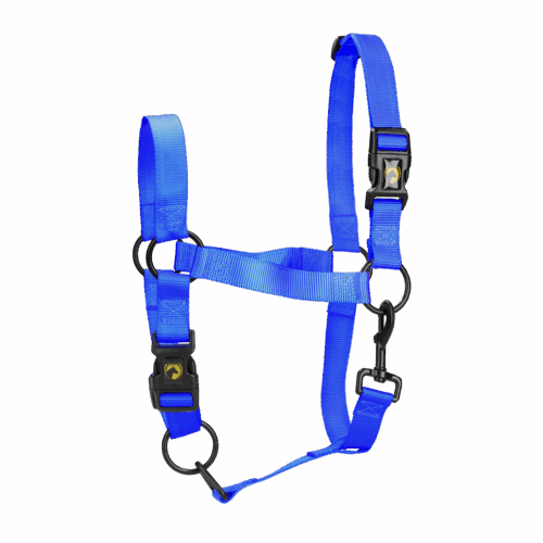 Excellent Horse Essential Halster L Cob Blauw
