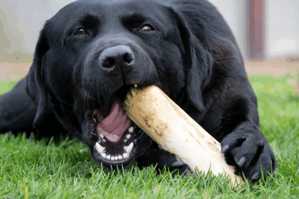 Ruffwood Coffee Small