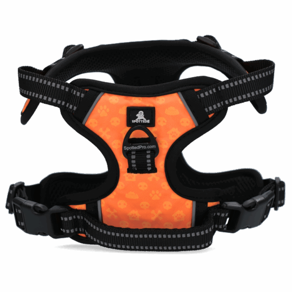 Spotted! PRO Harnas Oranje XL