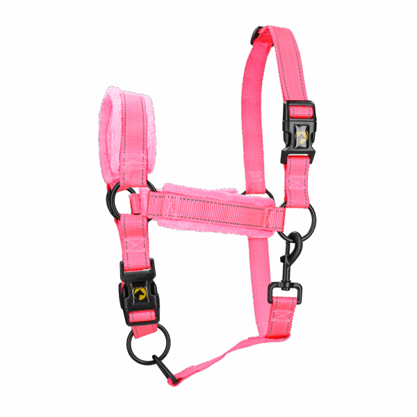 300368 Excellent Horse Superior Halster L Cob Roze