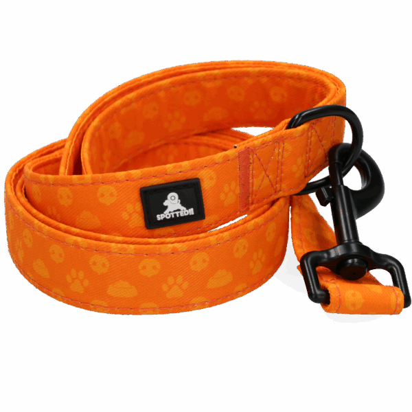 300400 Spotted! PRO Lijn Antraciet 120cm