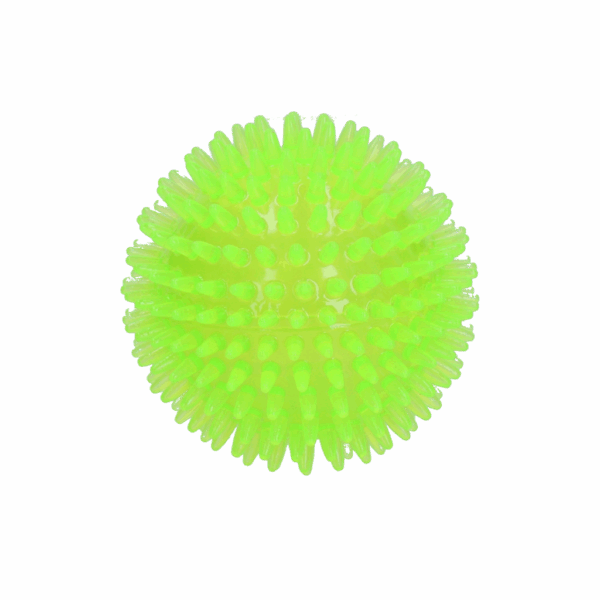 Dog Comets Exoplanet Green S