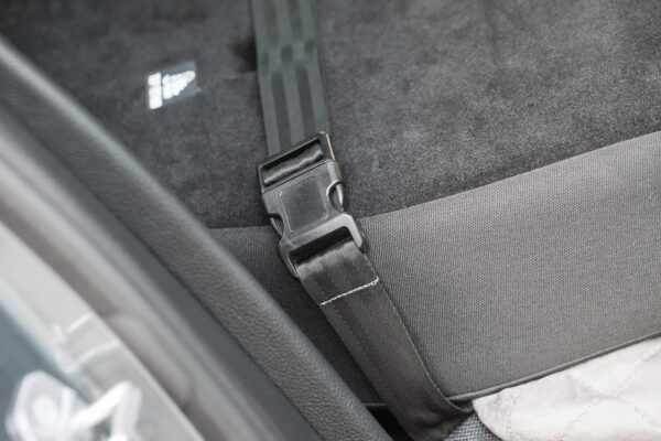 KONG Secure Booster Seat