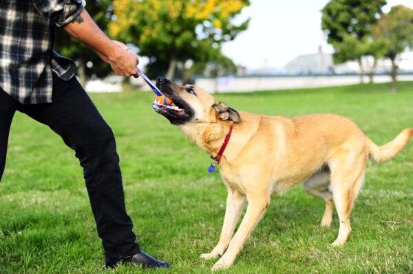 300476 Chuckit Ultra Tug M 6 cm