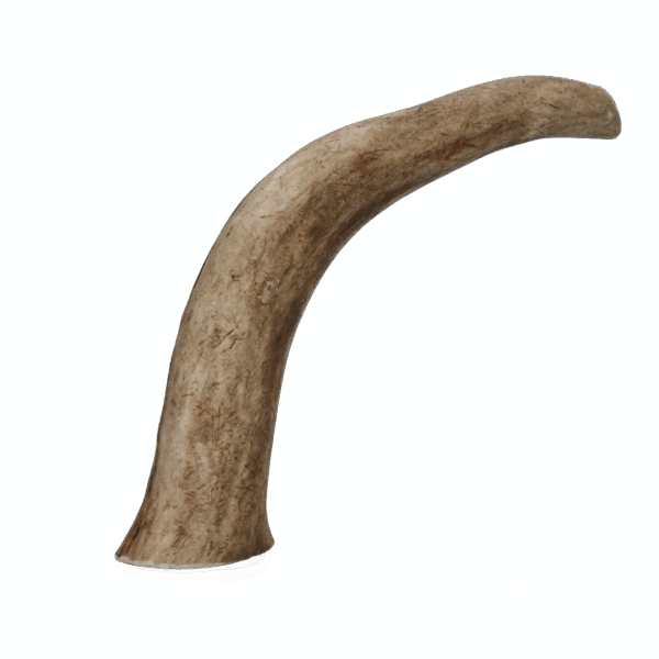 Viking Antler Hard XL