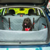 KONG Ultimate Cargo Liner & Tether