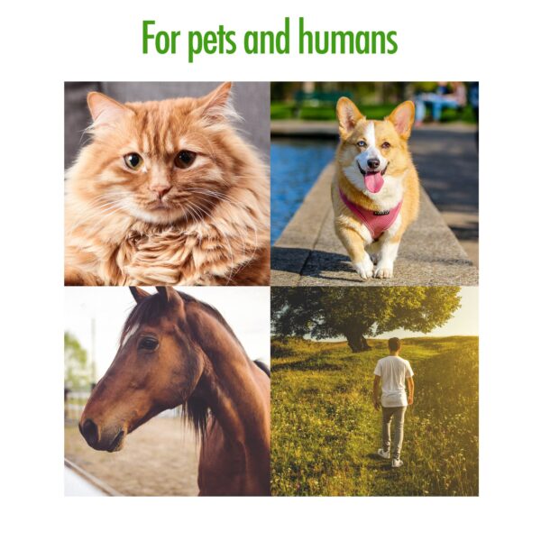 300585 Zenpet Tick Tornado (Tekentang)