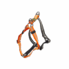 300589 AFP Off Street Dog Non-pull Harness Tangerine M