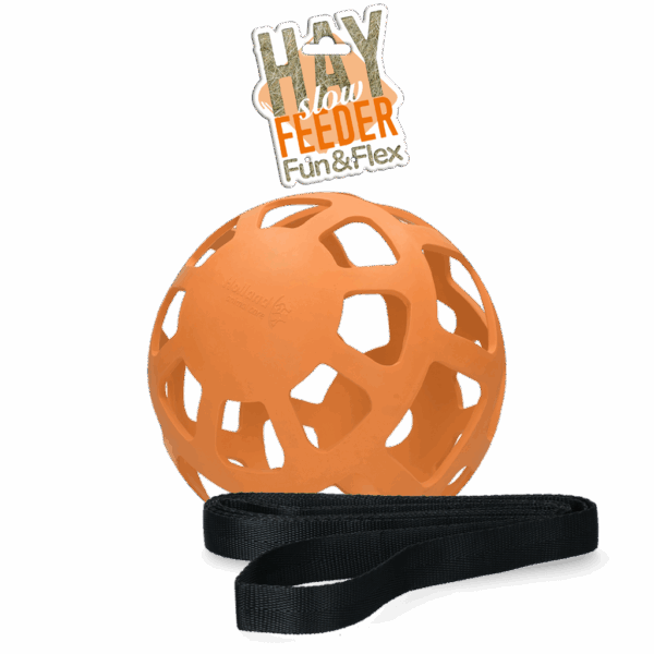 300657 Hay Slowfeeder fun and flex 22 cm Groene Bal