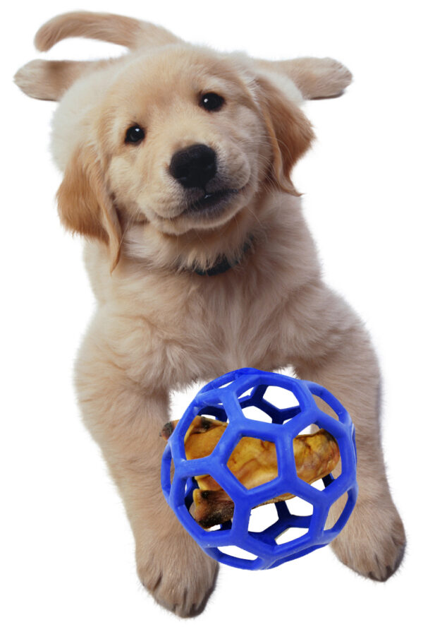 300683 JW HOL-EE ROLLER Jumbo 19 cm assorti