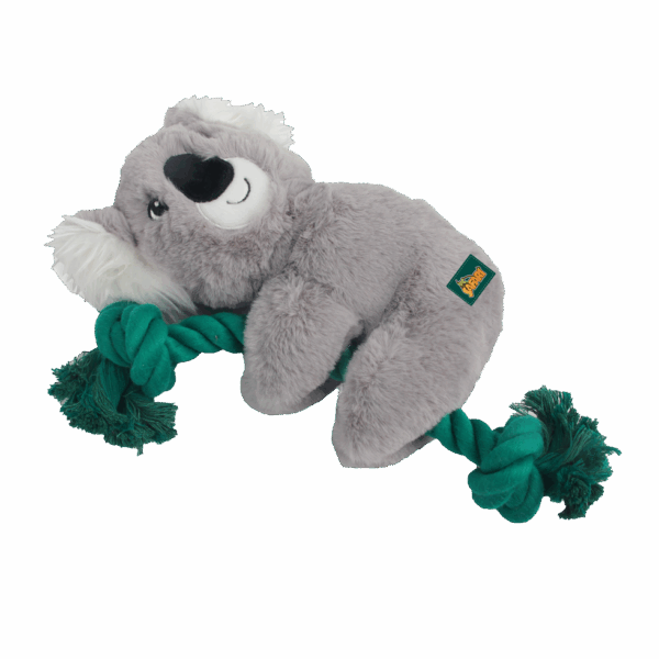 300706 AFP Safari - Rope Cuddle Sloth