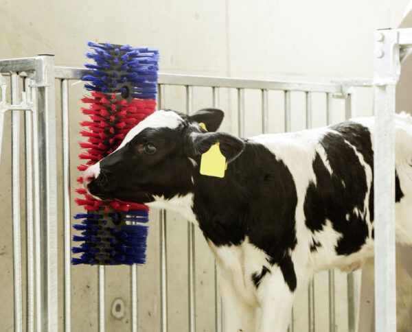 300759 Borstel voor Paard, Rund, Geit