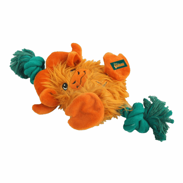 AFP Safari - Big Foot Elephant