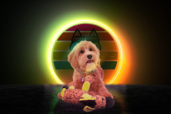 300820 Retrodog Donkey Yellow M