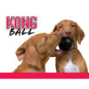 300882 KONG Extreme Ball S 6,3 cm