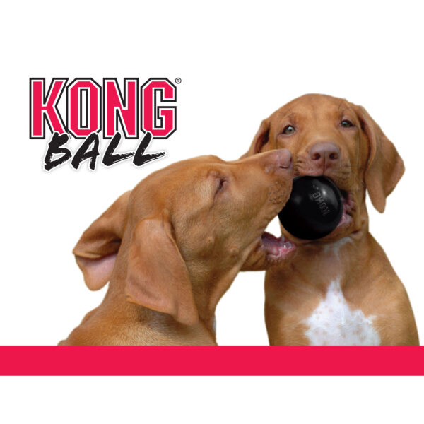 300882 KONG Extreme Ball S 6,3 cm