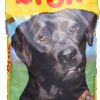 Topbrok Excellent Hond Adult