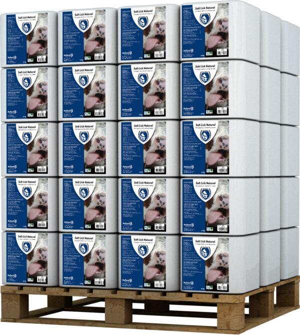 Liksteen Naturel 10 kg