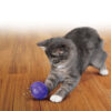 300938 KONG Cat Treat Ball