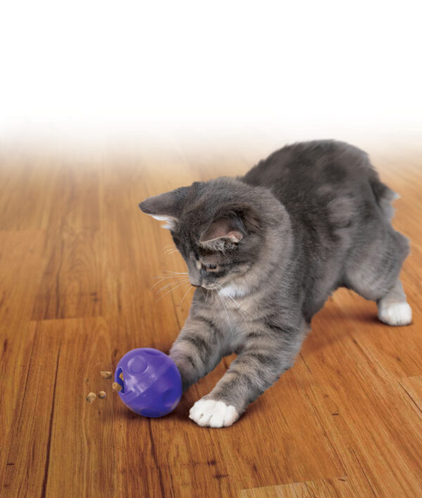 300938 KONG Cat Treat Ball