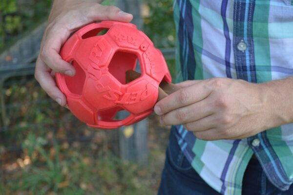 300986 Dental Ears Small 12st