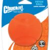 Chuckit Fetch Ball L 7 cm 1 Pack