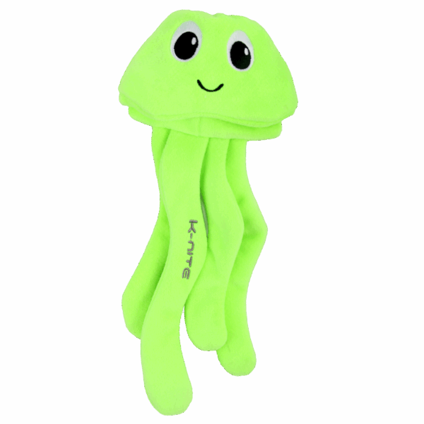 301058 AFP K-Nite - Glowing Eel