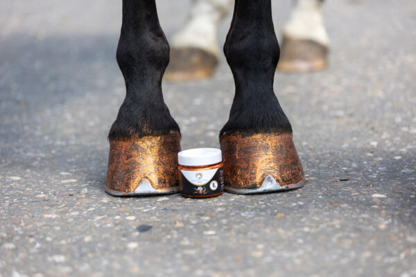 301161 Excellent Horse Hi Gloss Glitter Hoof Polish Silver 150 ml