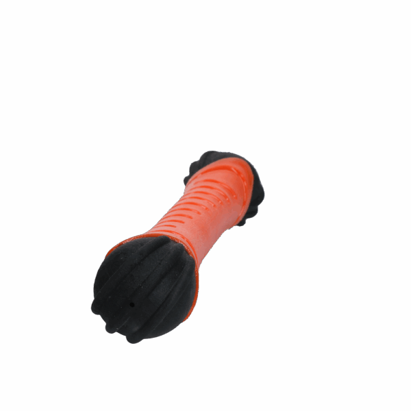 301223 Dog Comets Asteroid Orange S