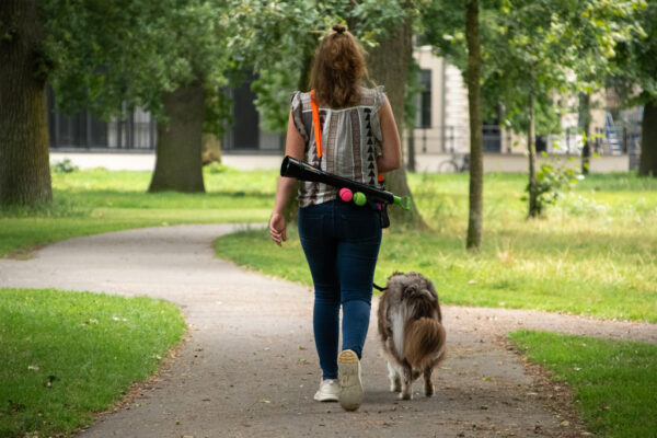 301267 Dog Comets Comet launcher