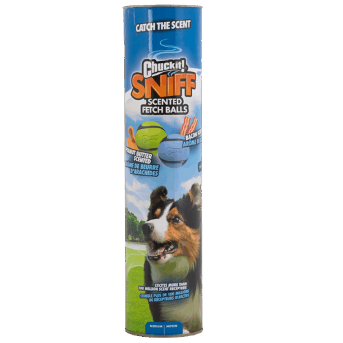 301629 Chuckit sniff fetch balls md canister 4pk