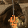 302074 Lax Hooi/Groente knabbelblok voor Paarden
