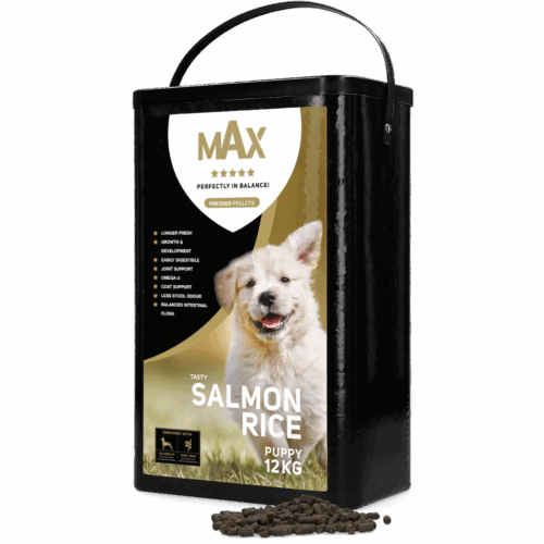 302263 Max Puppy zalm/rijst geperst