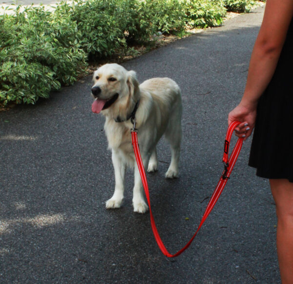 KONG Adjustable leash M Black