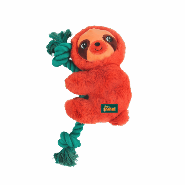 302341 AFP Safari - Rope Cuddle Sloth