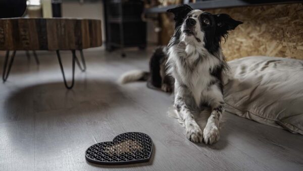 302363 Eat Slow Live Longer Lick Mat Lovely Red