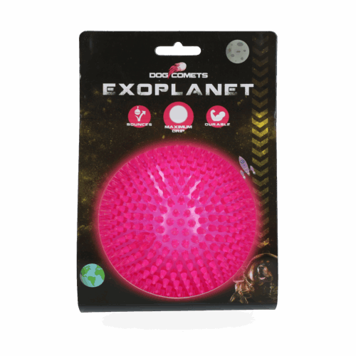 Dog Comets Exoplanet Pink L