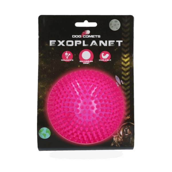 Dog Comets Exoplanet Pink L