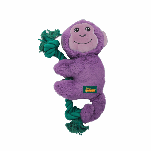 302444 AFP Safari - Rope Cuddle Sloth