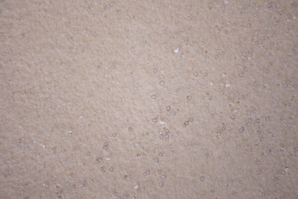 Licosan Forte (Alle diersoorten)