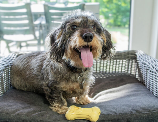 Moodies El Tranquilo (Relax)